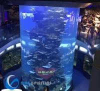Acrylic Tank with Conical Base